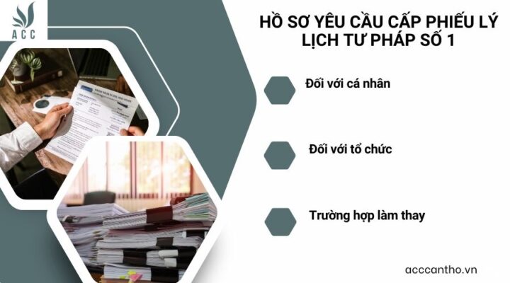 Hồ sơ yêu cầu cấp phiếu lý lịch tư pháp số 1