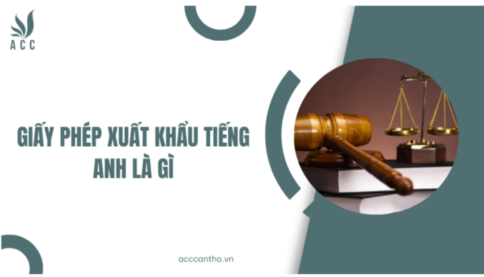 Giấy phép xuất khẩu tiếng Anh là gì