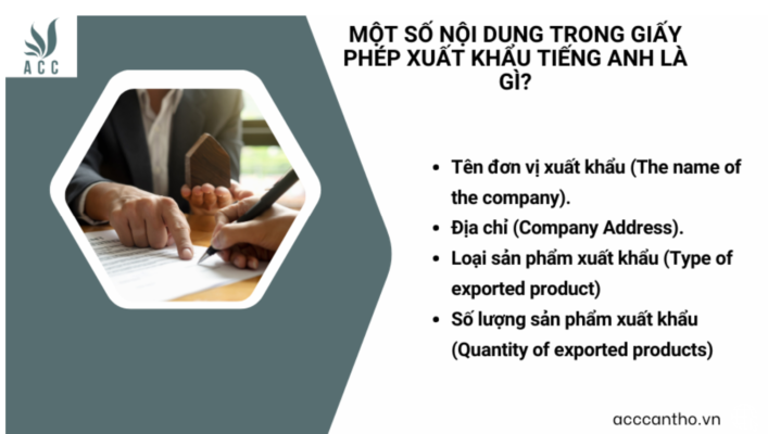 Một số nội dung trong giấy phép xuất khẩu tiếng anh là gì?