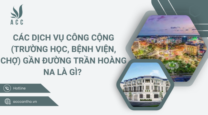 Các dịch vụ công cộng (trường học, bệnh viện, chợ) gần Đường Trần Hoàng Na là gì 
