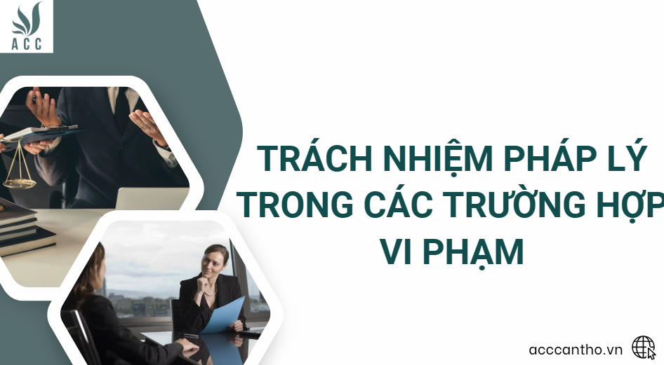 Trách nhiệm pháp lý trong các trường hợp vi phạm