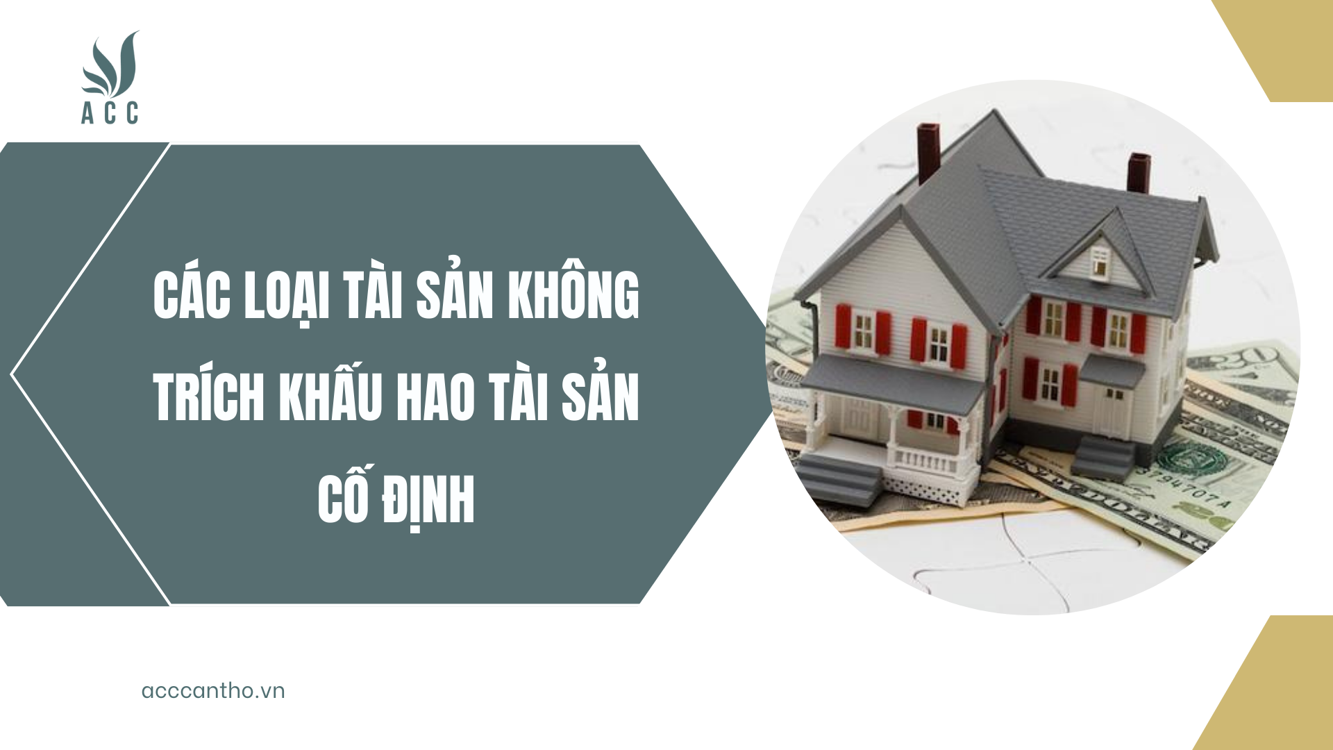 Các loại tài sản không trích khấu hao tài sản cố định