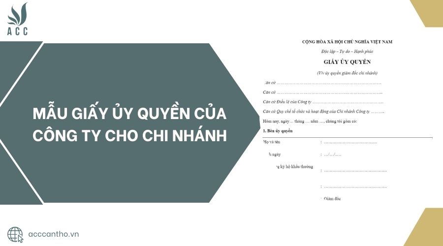 Mẫu giấy ủy quyền của công ty cho chi nhánh