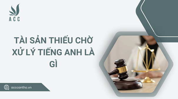 tài sản thiếu chờ xử lý tiếng anh là gì