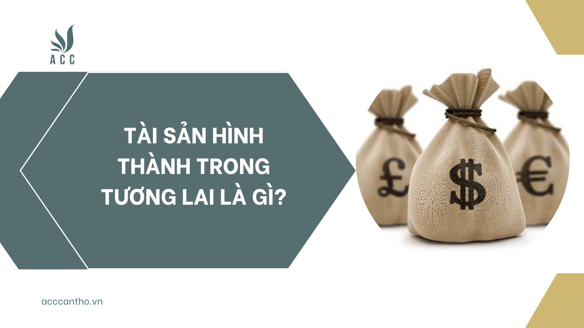 Tài sản hình thành trong tương lai là gì?