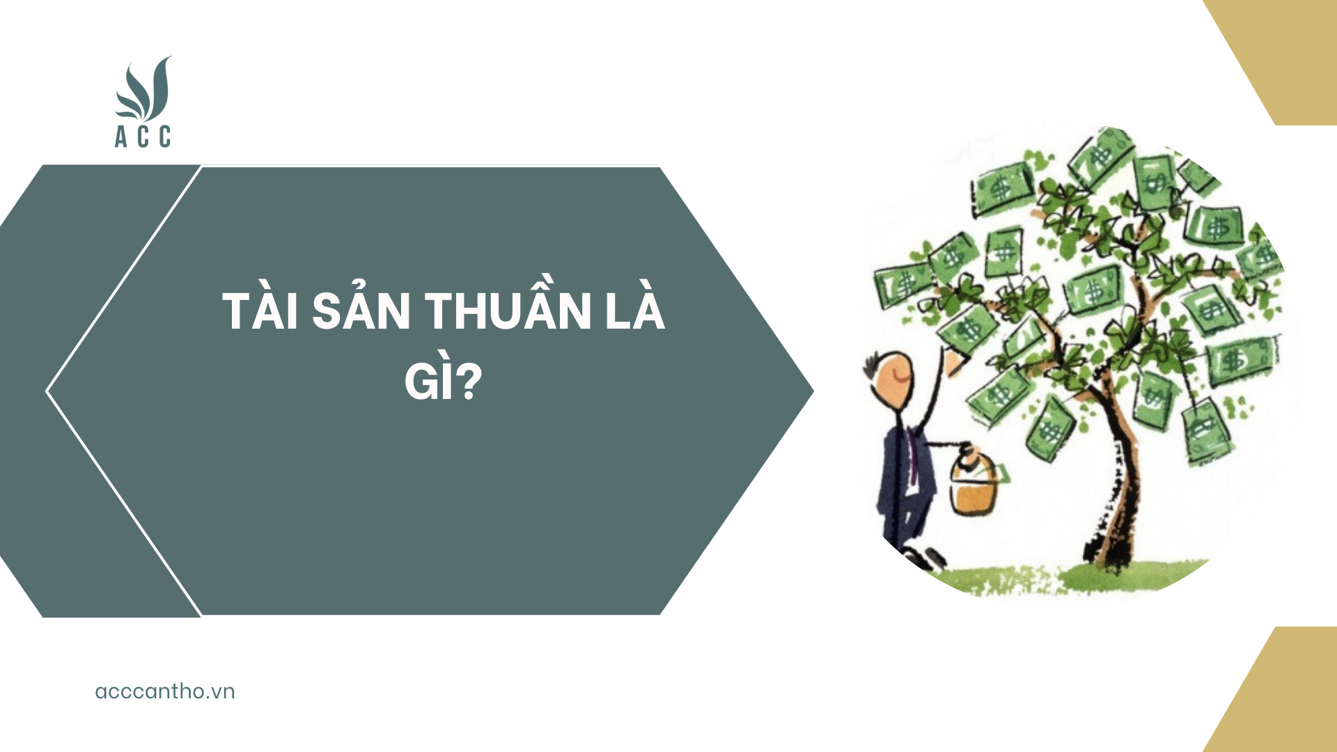 Tài sản thuần là gì?