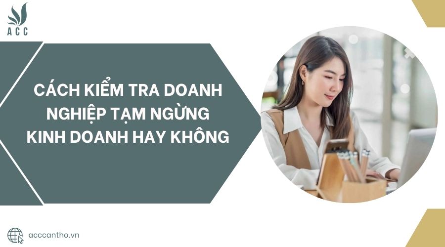 Cách kiểm tra doanh nghiệp tạm ngừng kinh doanh hay không
