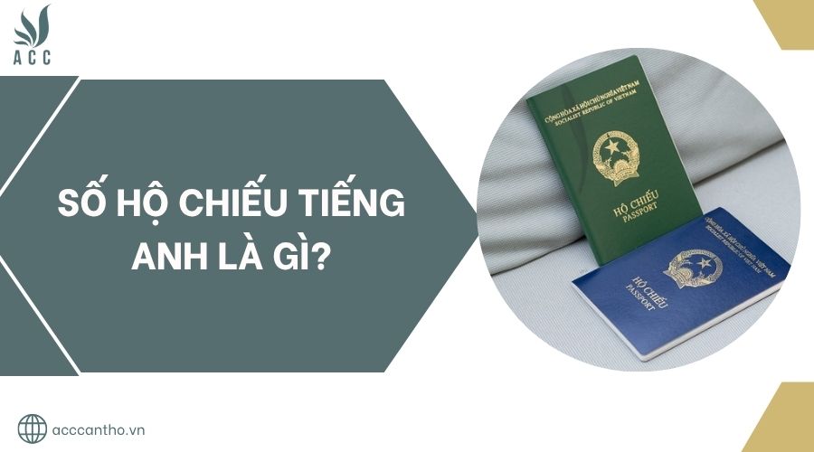 Số hộ chiếu tiếng Anh là gì?.jpg