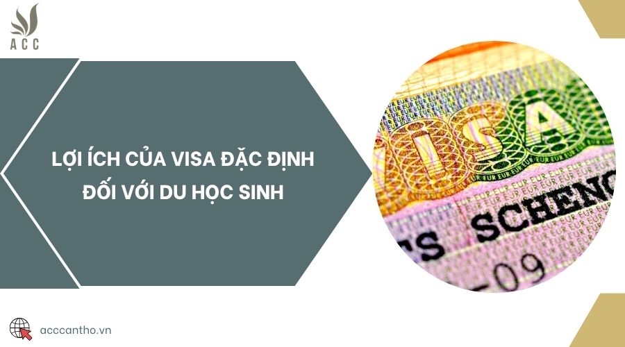 Lợi ích của visa đặc định đối với du học sinh