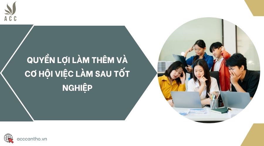 Quyền lợi làm thêm và cơ hội việc làm sau tốt nghiệp