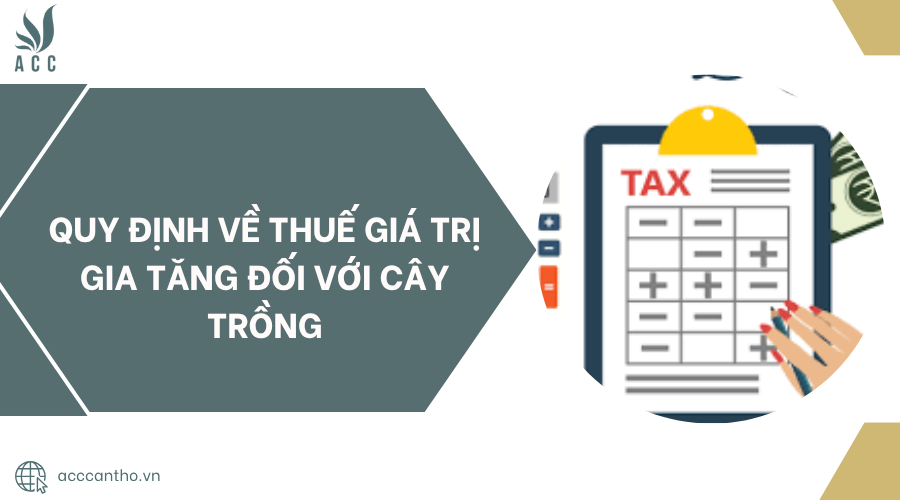 Quy định về thuế giá trị gia tăng đối với cây trồng.jpg
