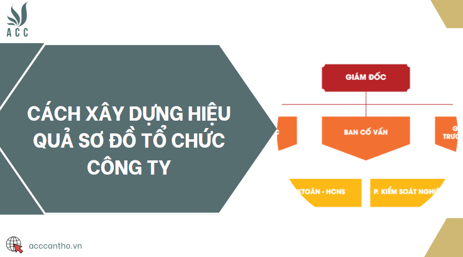Cách xây dựng hiệu quả sơ đồ tổ chức công ty