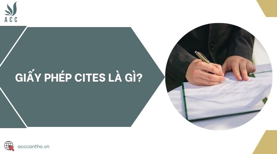 Giấy phép CITES là gì?