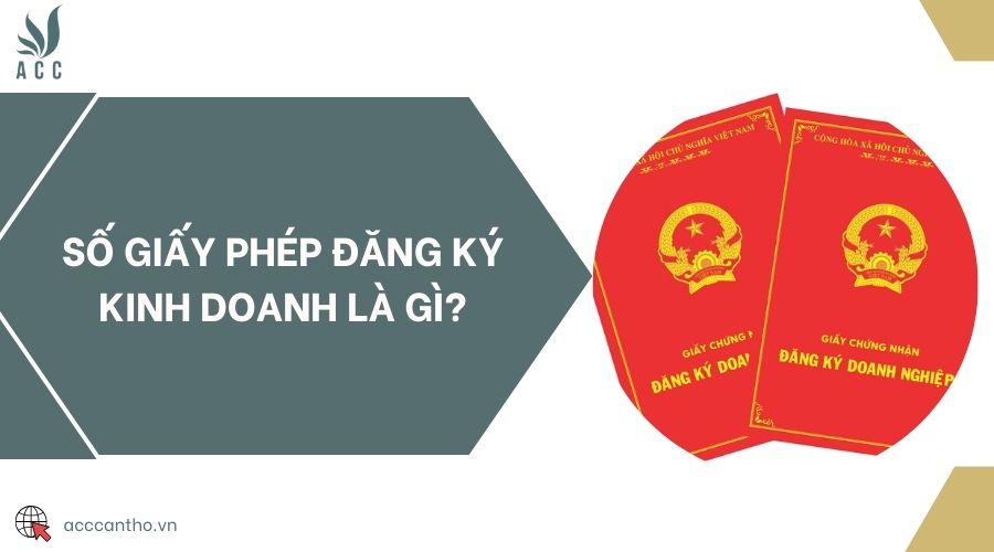 Số giấy phép đăng ký kinh doanh là gì?