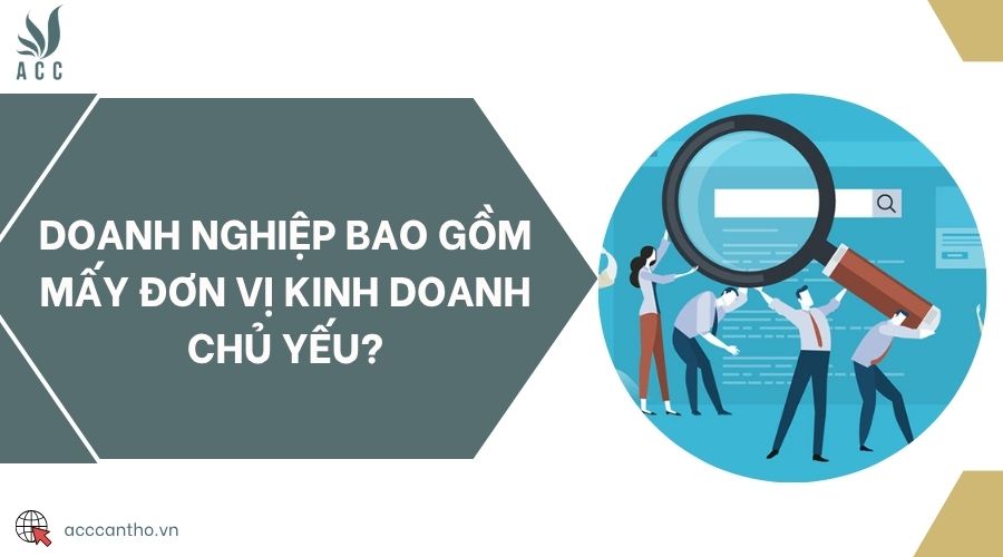 Doanh nghiệp bao gồm mấy đơn vị kinh doanh chủ yếu?