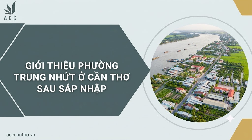 Giới thiệu phường Trung Nhứt ở Cần Thơ sau sáp nhập