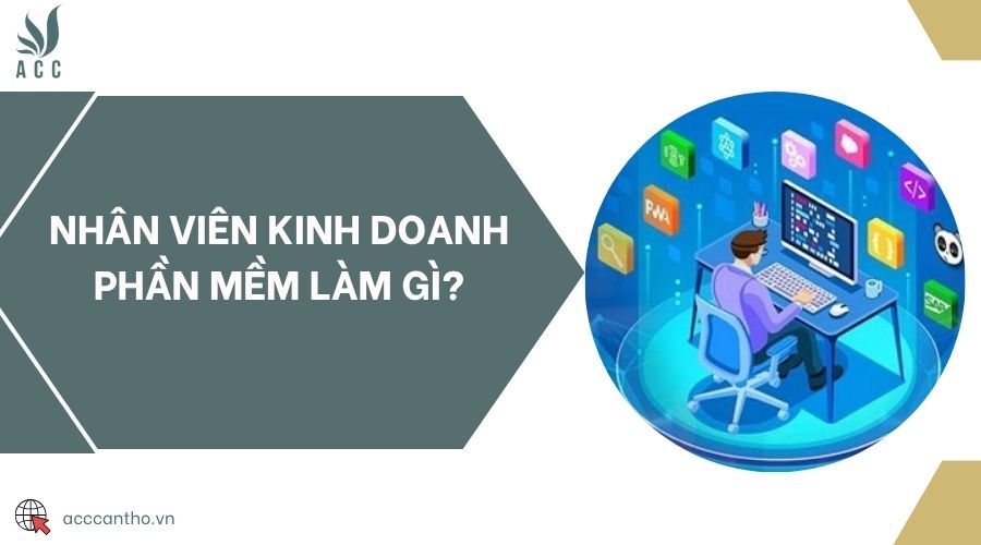 Nhân viên kinh doanh phần mềm làm gì?