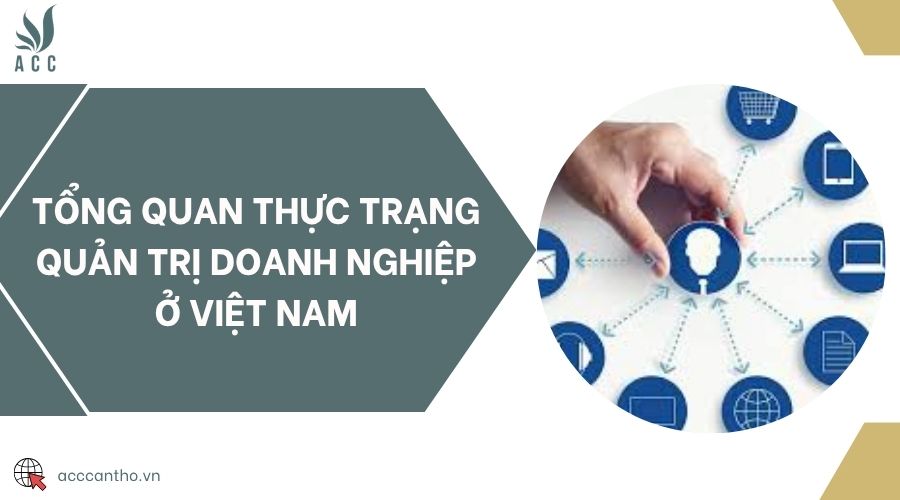 Tổng quan thực trạng quản trị doanh nghiệp ở Việt Nam