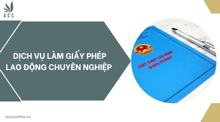 Dịch vụ làm giấy phép lao động chuyên nghiệp 