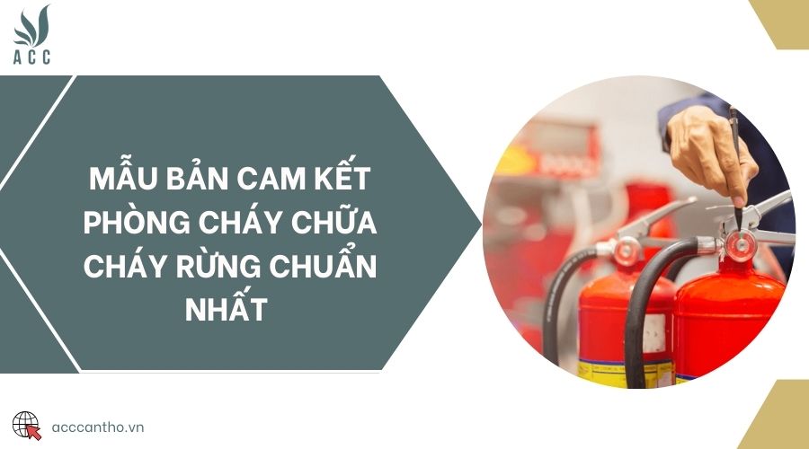 Mẫu bản cam kết phòng cháy chữa cháy rừng chuẩn nhất 