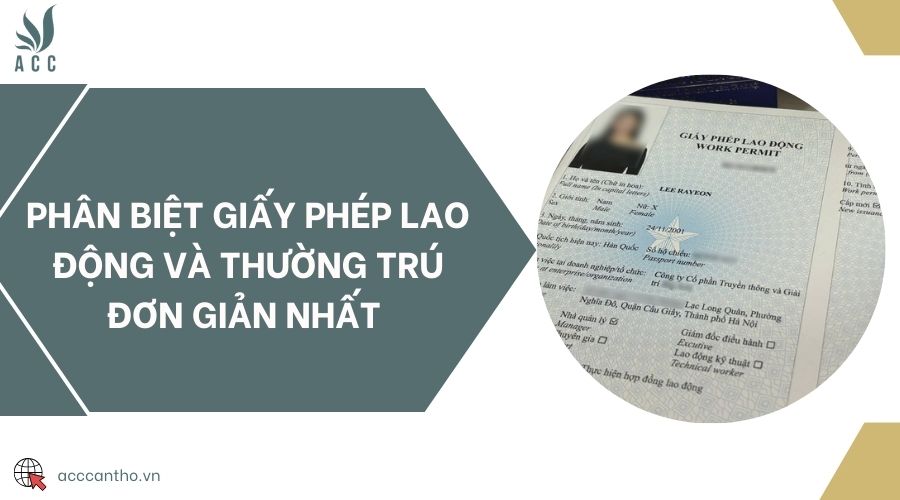Phân biệt giấy phép lao động và thường trú đơn giản nhất 