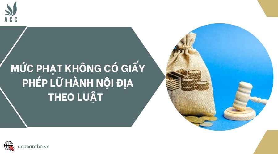 Mức phạt không có giấy phép lữ hành nội địa theo luật