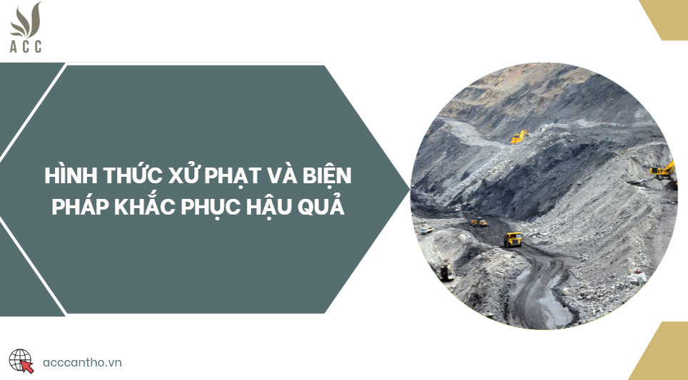 Hình thức xử phạt và biện pháp khắc phục hậu quả