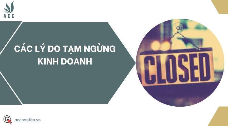 Các lý do tạm ngừng kinh doanh