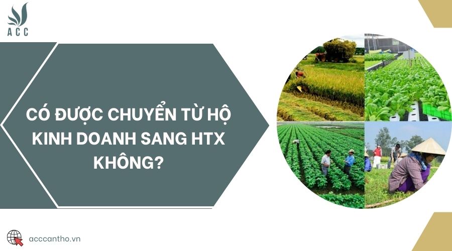 Có được chuyển từ hộ kinh doanh sang HTX không?