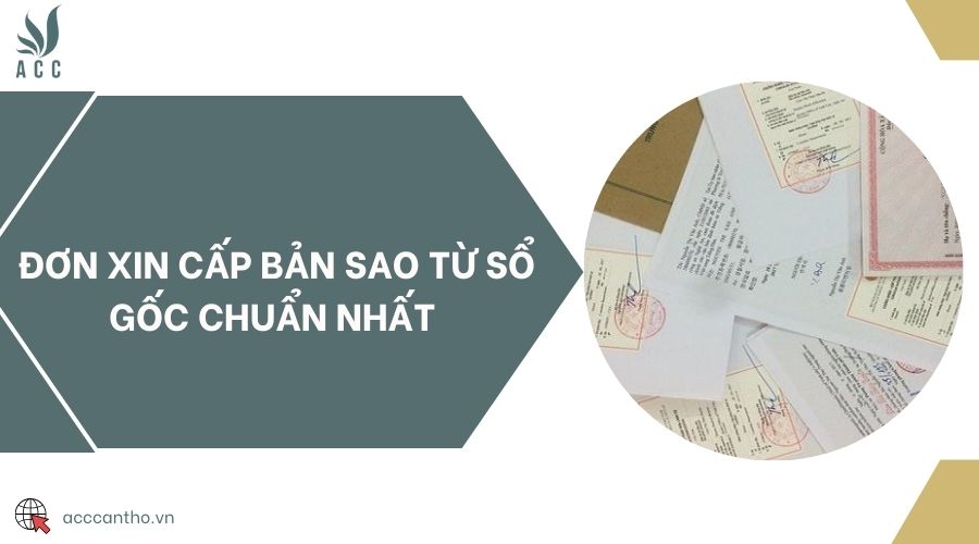 Đơn xin cấp bản sao từ sổ gốc chuẩn nhất