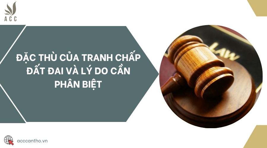 Đặc thù của tranh chấp đất đai và lý do cần phân biệt