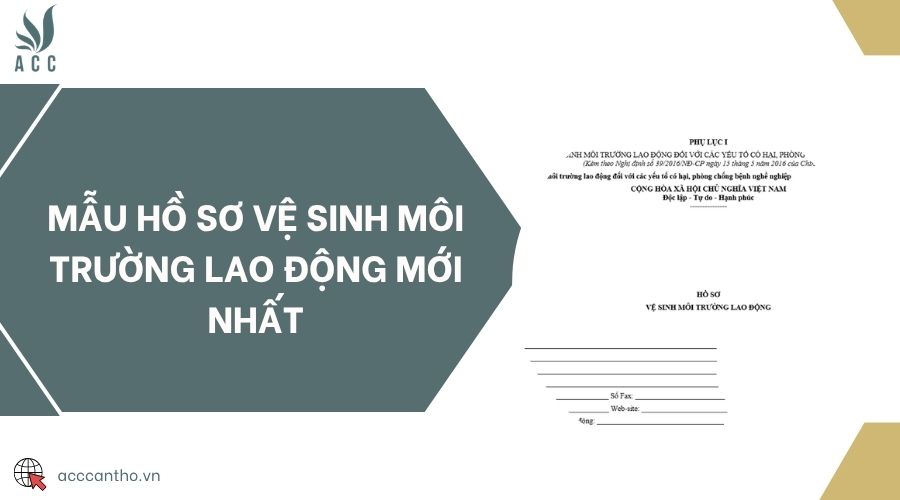 Mẫu hồ sơ vệ sinh môi trường lao động mới nhất