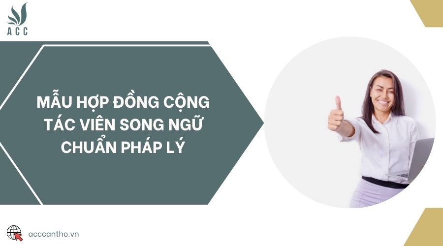 Mẫu hợp đồng cộng tác viên song ngữ chuẩn pháp lý