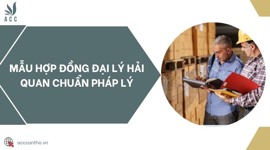 Mẫu hợp đồng đại lý hải quan chuẩn pháp lý