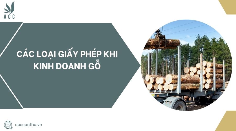 Các loại giấy phép khi kinh doanh gỗ
