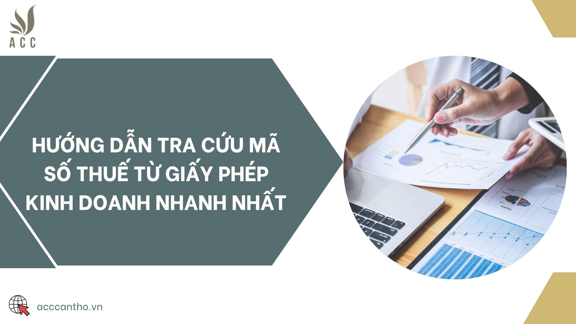 Hướng dẫn tra cứu mã số thuế từ giấy phép kinh doanh nhanh nhất