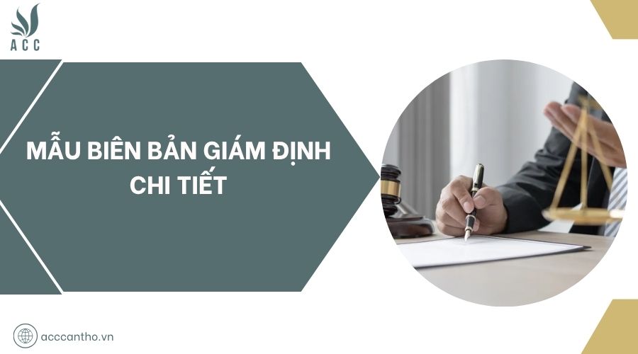 Mẫu biên bản giám định chi tiết
