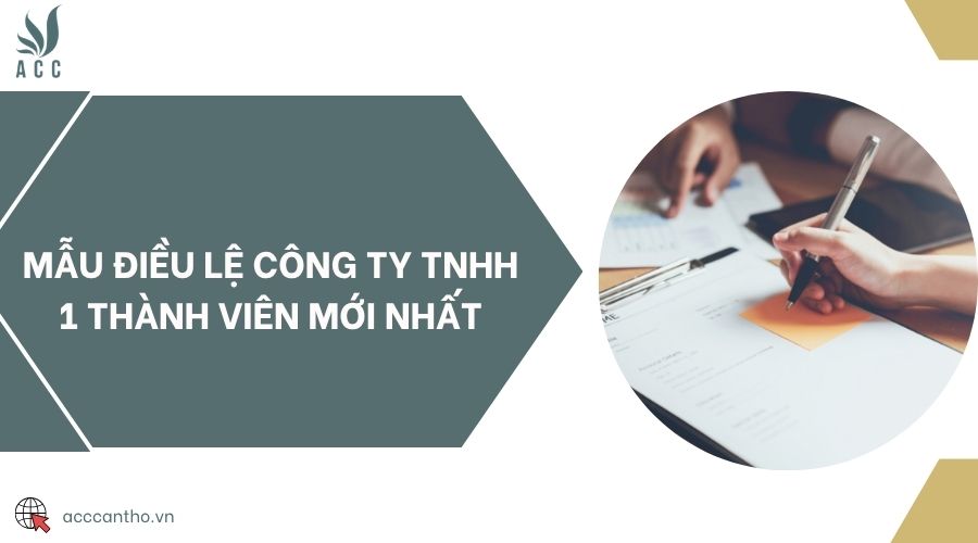 Mẫu điều lệ công ty TNHH 1 thành viên