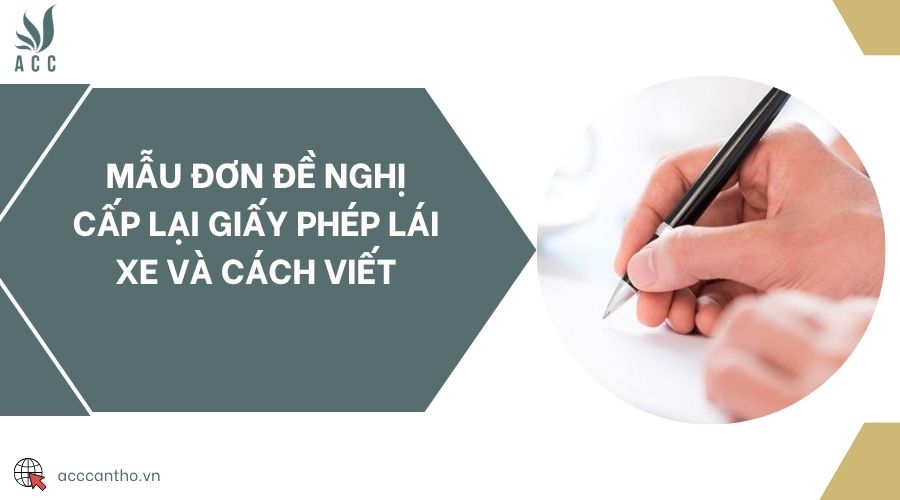 Mẫu đơn đề nghị cấp lại giấy phép lái xe và cách viết