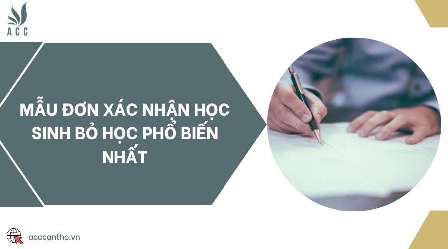 Mẫu đơn xác nhận học sinh bỏ học phổ biến nhất