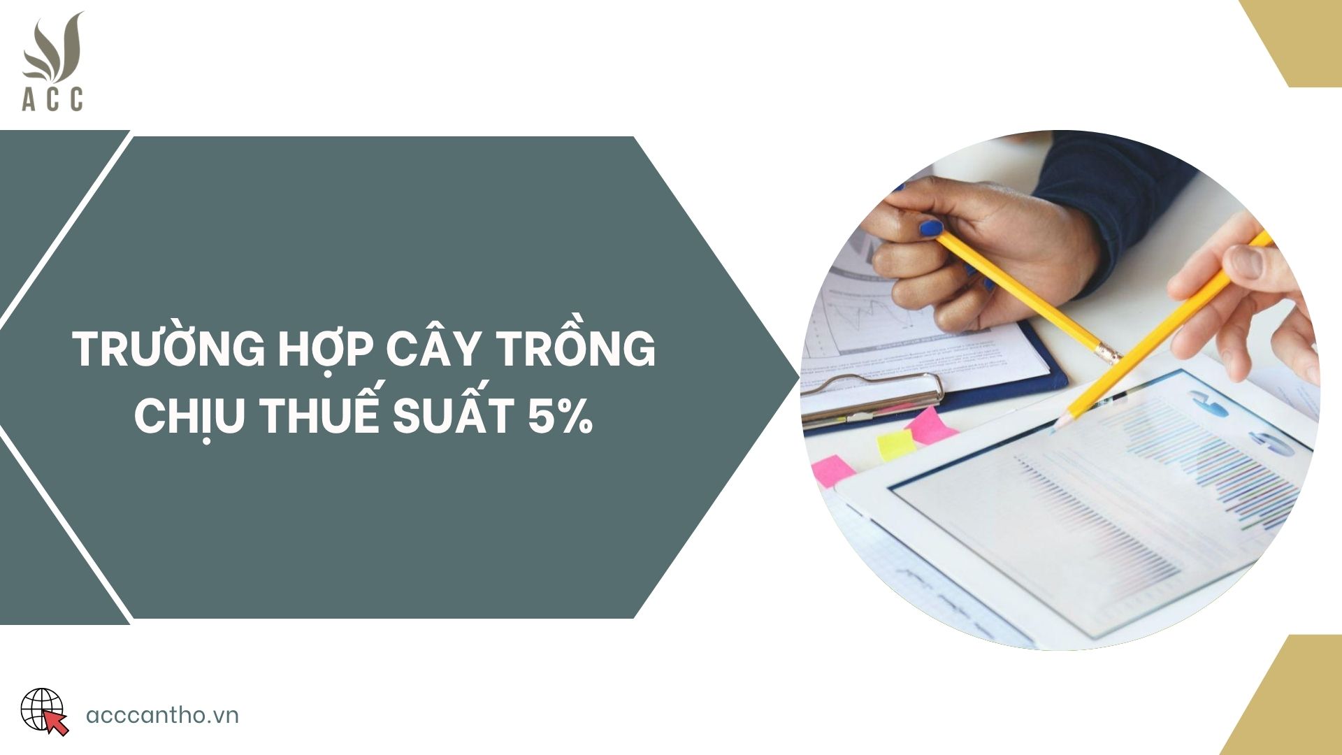 Trường hợp cây trồng chịu thuế suất 5%