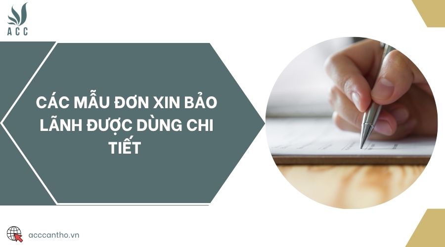 Các mẫu đơn xin bảo lãnh được dùng chi tiết
