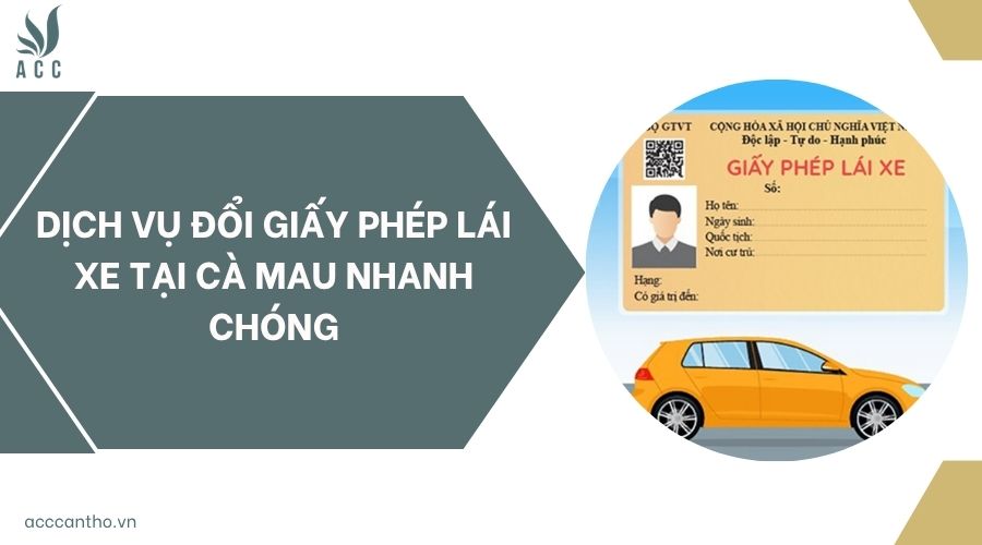 Dịch vụ đổi giấy phép lái xe tại Cà Mau nhanh chóng