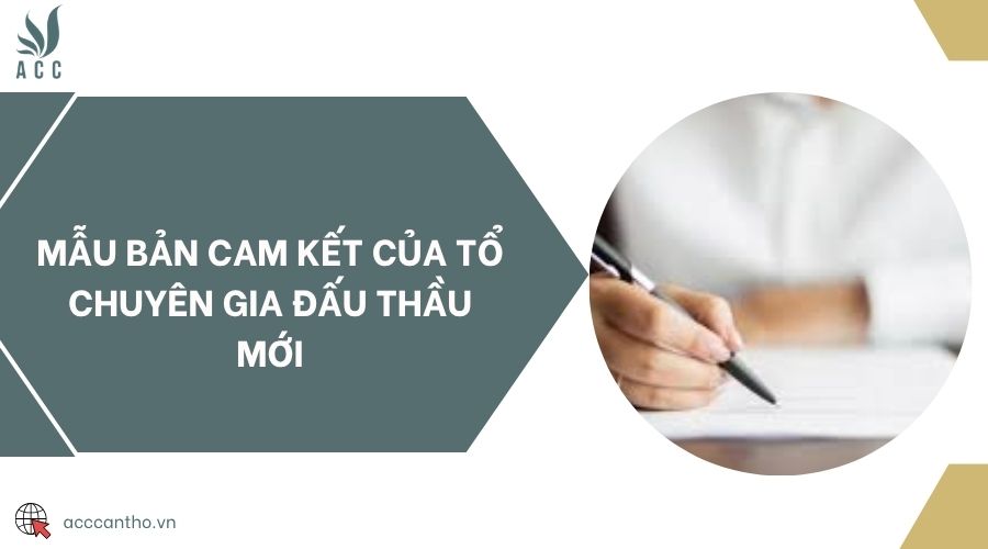 Mẫu bản cam kết của tổ chuyên gia đấu thầu mới