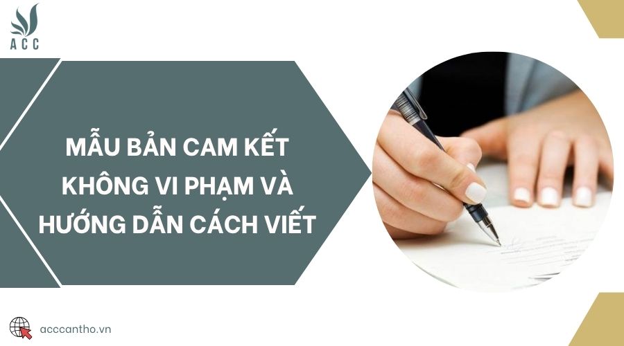 Mẫu bản cam kết không vi phạm và hướng dẫn cách viết