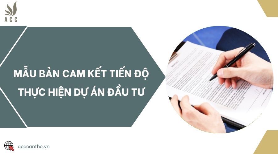 Mẫu bản cam kết tiến độ thực hiện dự án đầu tư