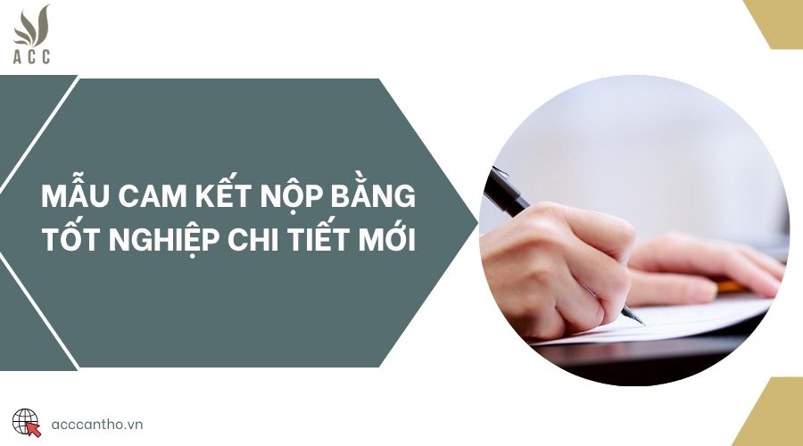 Mẫu cam kết nộp bằng tốt nghiệp chi tiết mới