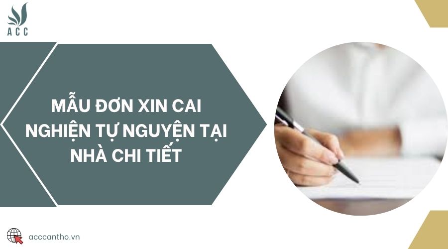 Mẫu đơn xin cai nghiện tự nguyện tại nhà chi tiết