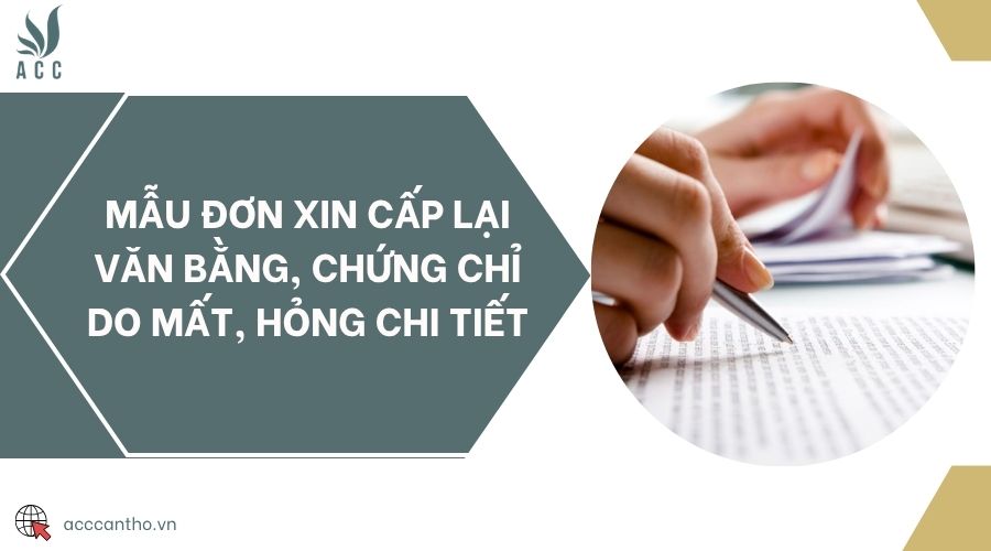 Mẫu đơn xin cấp lại văn bằng, chứng chỉ do mất, hỏng chi tiết