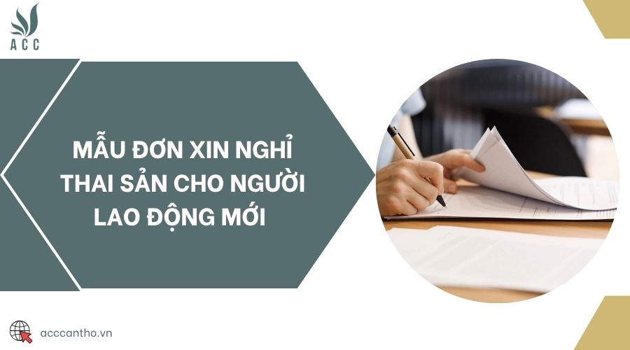 Mẫu đơn xin nghỉ thai sản cho người lao động mới